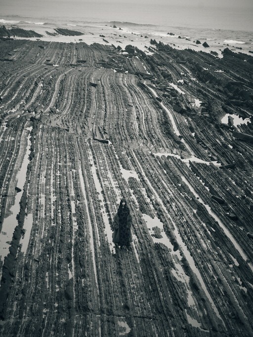 MAAG_DONOSTI_WOMAN_20253705